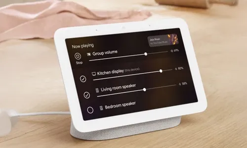 Nest Hub