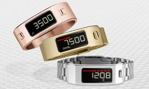 Who Should Use the Garmin Vivofit