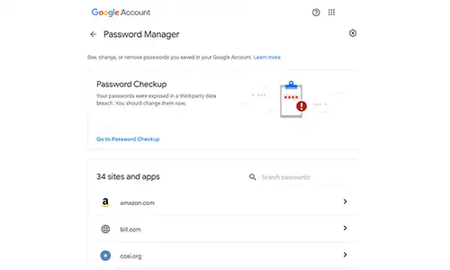Google Password Manager