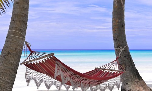 Sleeping net