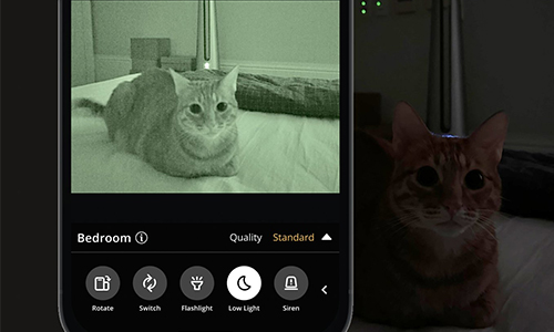 Adjust Settings