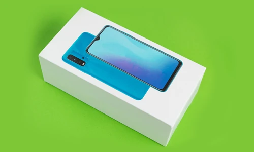 Packaging and Distribution