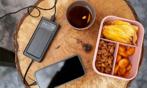 How to Choose the Right Portable Charger