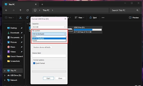 Choose file system on windows for formatting
